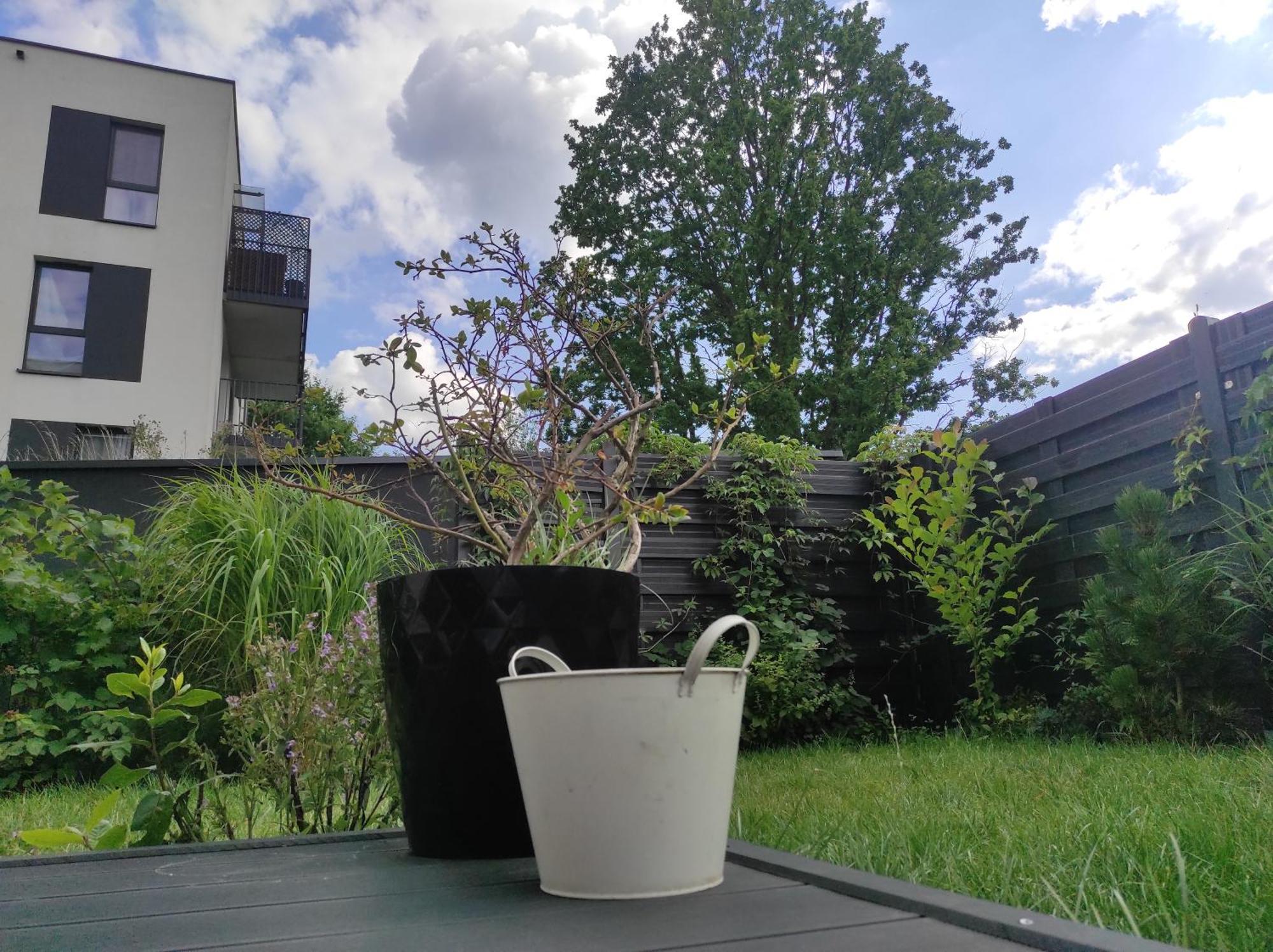 Garden Self Check-in - Bezkluczowy Dostep W 10 Minut O Kazdej Porze Apartmán *