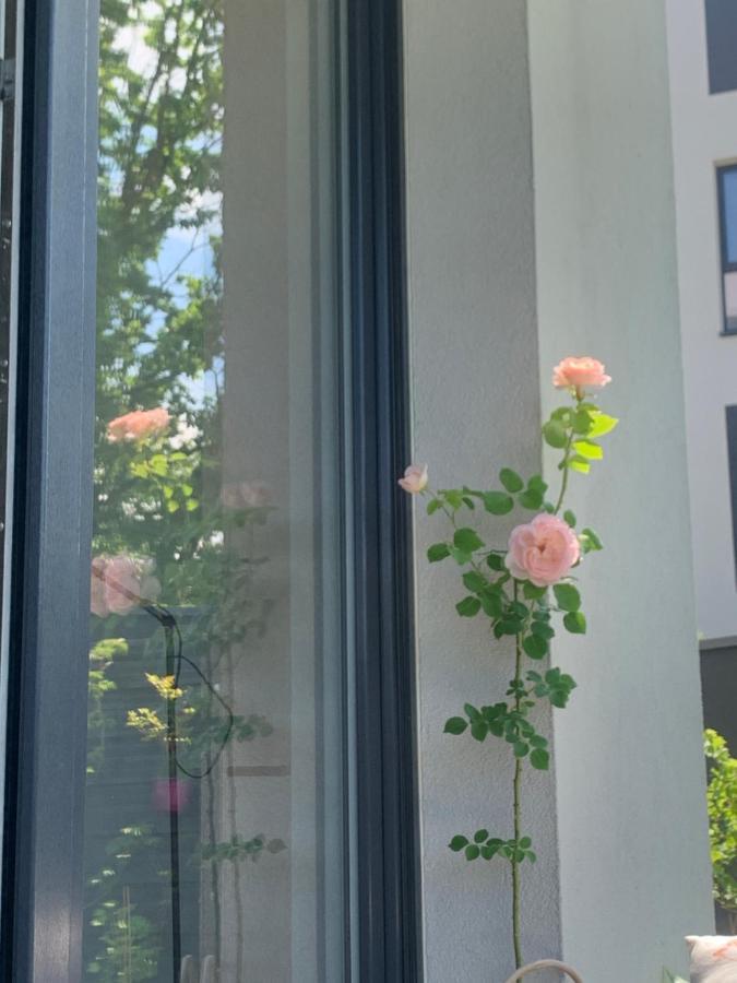 Garden Self Check-in - Bezkluczowy Dostep W 10 Minut O Kazdej Porze Apartment *